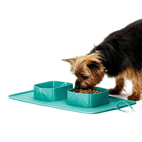 Pet Portable Feed Bowl Outdoor Collapsible Silicone Bowl